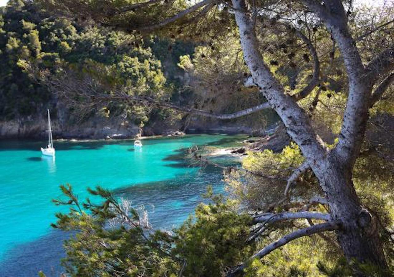 Studio 207-Les pieds dans l’eau à 30m de la plage Cavalaire-sur-Mer Exterior foto